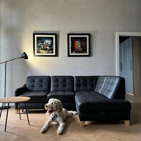 Apartamenty Lemon Pepper Jelenia Góra Exterior foto